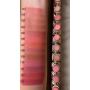 Помада для губ Golden Rose Pure Matte Powder Lipstick 113