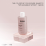 Шампунь для фарбованого волосся Revuele Hair Professional Colorithic Color-Care, 300 мл