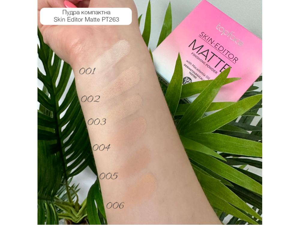 Матувальна компактна пудра для обличчя Topface Skin Editor Matte Finishing Powder PT263 01 