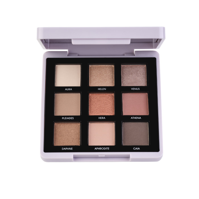 Набір тіней для повік Topface Maestro Academy Eyeshadow PT512 001 Soft Dream 