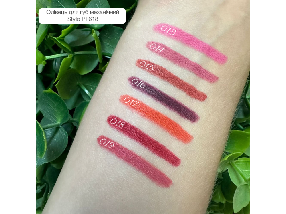Водостійкий олівець для губ Topface Waterproof Stylo Lipliner PT618 015 